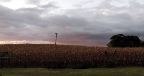 View to the north as the sun was setting last night.