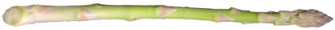 asparagus_line