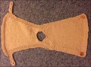 The completed hen tunic.