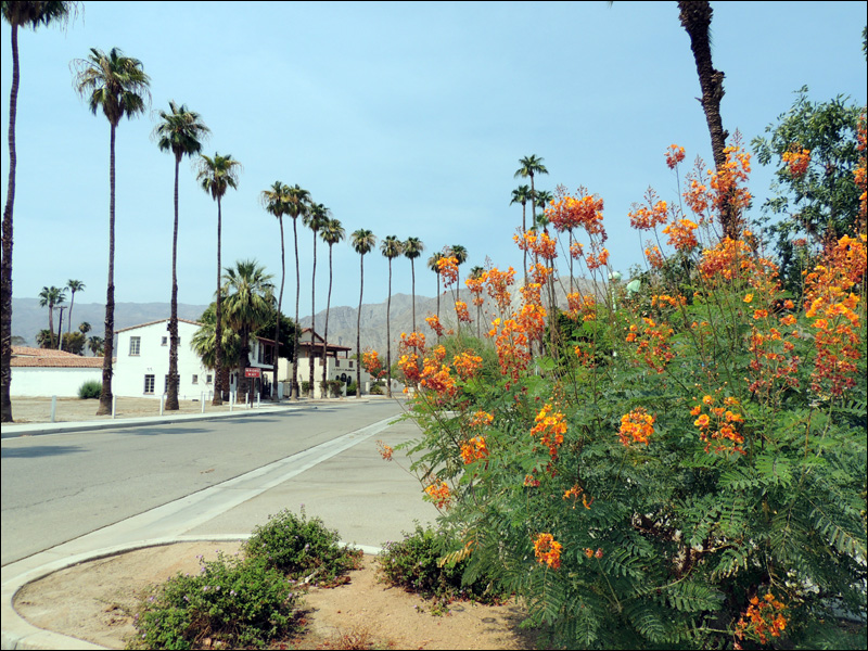 Blog 02 La Quinta 01