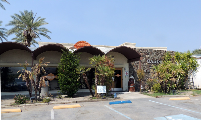 Blog 02 Oasis Garden 01