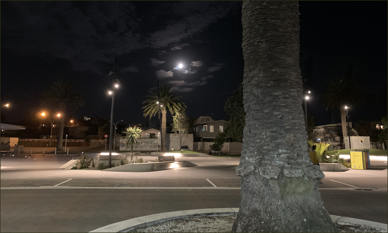 dark night with palm