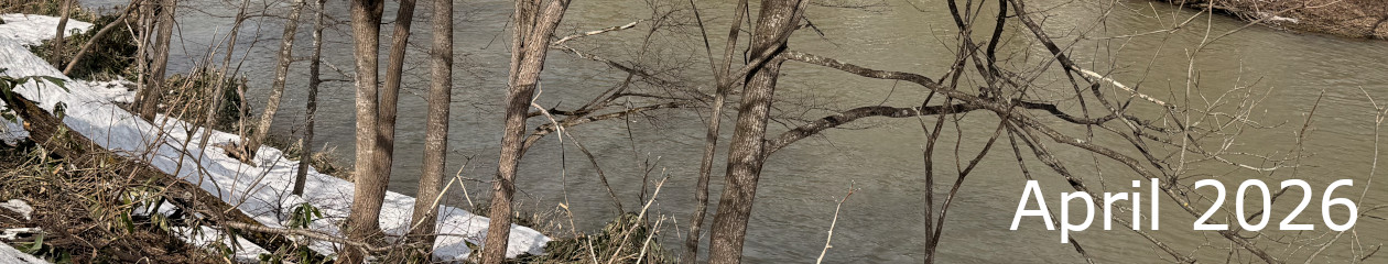 Heni Irihapeti's Blog